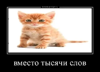 Sticker @stiki_tg_nah_canal - 3