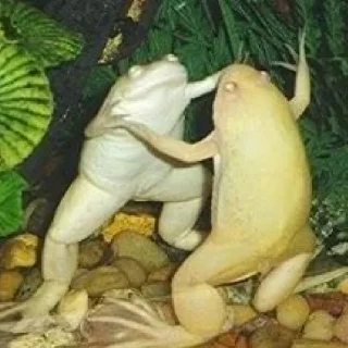 Sticker fw_seller - 4