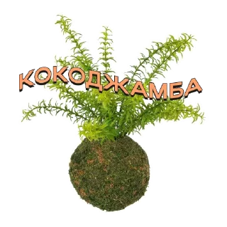 Sticker fw_seller - 3