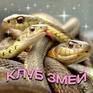 Sticker fw_seller - 5