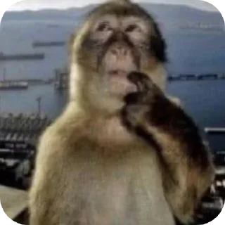 Стикер ай - 10