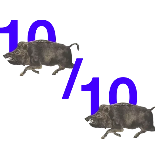 @stiki_tg_nah_canal - 