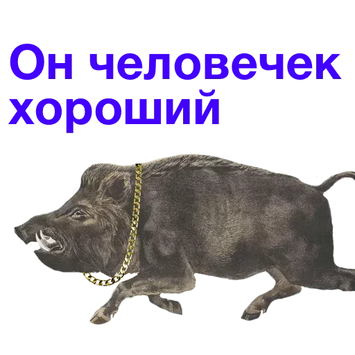 Sticker fxkvMVBfp_by_stickers_stealer_bot - 1