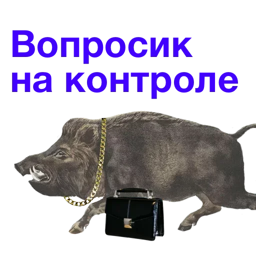 Sticker fxkvMVBfp_by_stickers_stealer_bot - 1