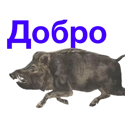 Sticker fxkvMVBfp_by_stickers_stealer_bot - 1