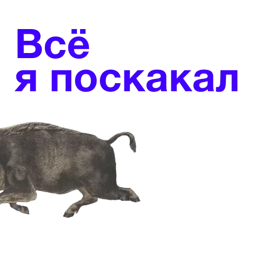 Sticker fxkvMVBfp_by_stickers_stealer_bot - 1