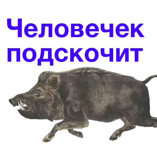 Sticker fxkvMVBfp_by_stickers_stealer_bot - 1