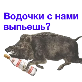 Sticker @stiki_tg_nah_canal - 7