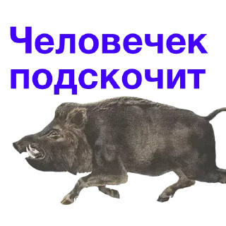 Sticker @stiki_tg_nah_canal - 3