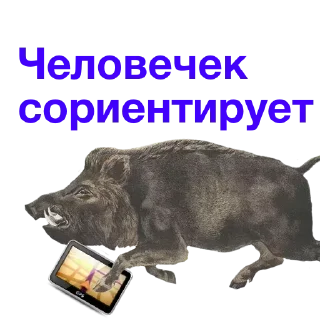 Sticker @stiki_tg_nah_canal - 11