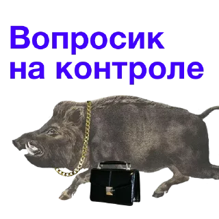 Sticker @stiki_tg_nah_canal - 9