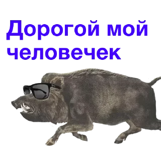 Sticker @stiki_tg_nah_canal - 8