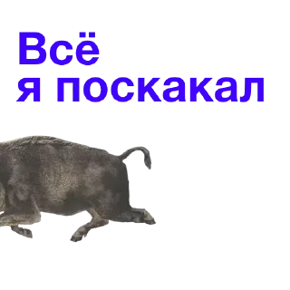 Sticker @stiki_tg_nah_canal - 4