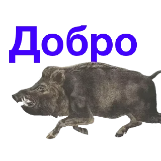 Sticker @stiki_tg_nah_canal - 6