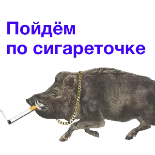 Sticker @stiki_tg_nah_canal - 2