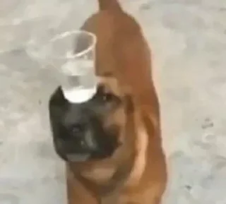 Sticker котікі сабачкі by @oweinxas - 2