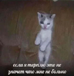 Sticker (⁠ﾉ⁠◕⁠ヮ⁠◕⁠)⁠ﾉ⁠*⁠.⁠✧ - 3