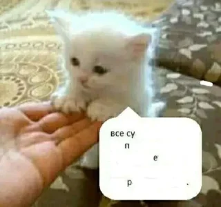 Sticker (⁠ﾉ⁠◕⁠ヮ⁠◕⁠)⁠ﾉ⁠*⁠.⁠✧ - 0