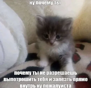 Sticker (⁠ﾉ⁠◕⁠ヮ⁠◕⁠)⁠ﾉ⁠*⁠.⁠✧ - 9