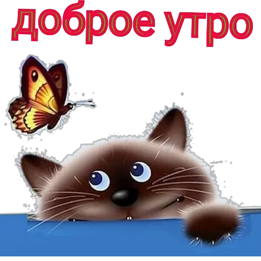 утро доброе - 