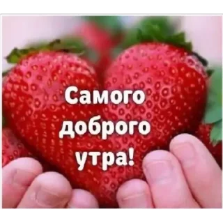 Sticker утро доброе - 4