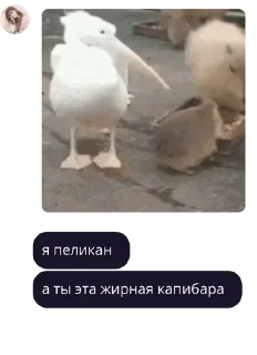 Sticker пиздатая девушка в стикерах pack by @bakaquote_bot - 0