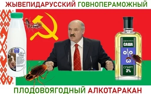 СМС бутылка птица