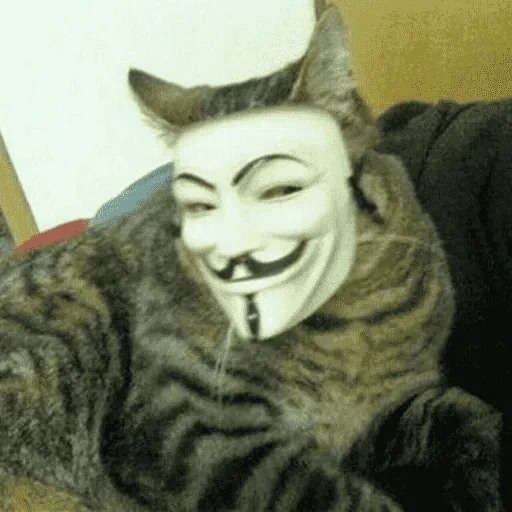 животное млекопитающее кошачьи