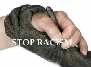 K.E.F.I.R. PROSKILL pack by @QuotLyBot - cartoon