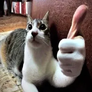 Стикер yourmom by @killerkriper - 2