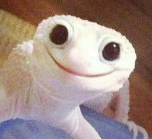 игрушка пресмыкающееся комнатный