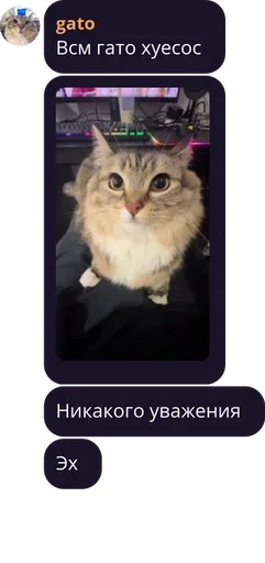 Баня бизнесменов | LavaShop |  pack by @bakaquote_bot - 