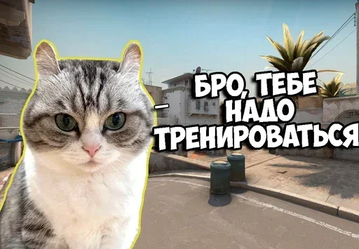 Больше стикеров: @sticerru - 