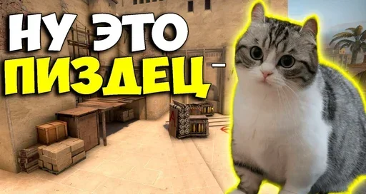 Sticker gDiHHqoGsCsf_by_stickers_stealer_bot - 1