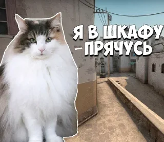 Sticker Больше стикеров: @sticerru - 9