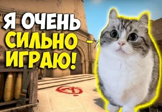 Sticker Больше стикеров: @sticerru - 6