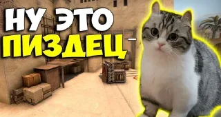 Sticker Больше стикеров: @sticerru - 8