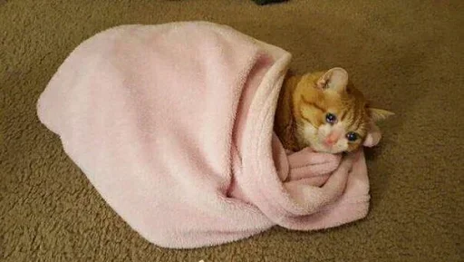 Sticker gHMwSYxD_by_stickers_stealer_bot - 1