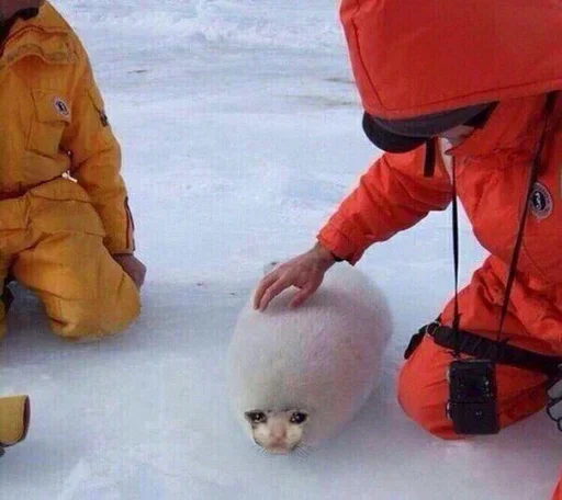 Стикер gHMwSYxD_by_stickers_stealer_bot - 1