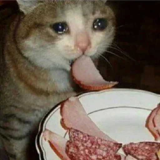 Sticker gHMwSYxD_by_stickers_stealer_bot - 1