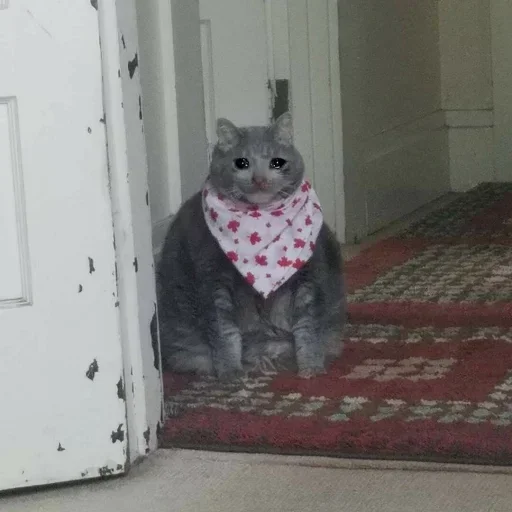 Стикер gHMwSYxD_by_stickers_stealer_bot - 1