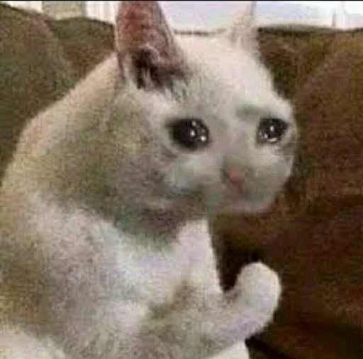 Стикер gHMwSYxD_by_stickers_stealer_bot - 1