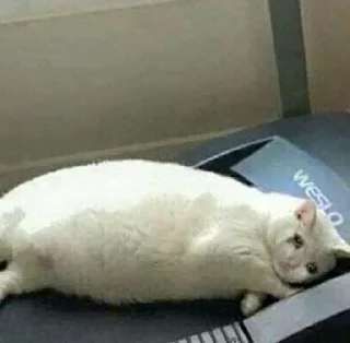 Sticker Больше стиков тут: @stikiin - 9