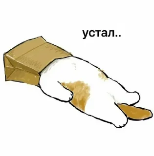 Sticker 🦄 Каталог 👉 @WeStickerbot 👈 - 0