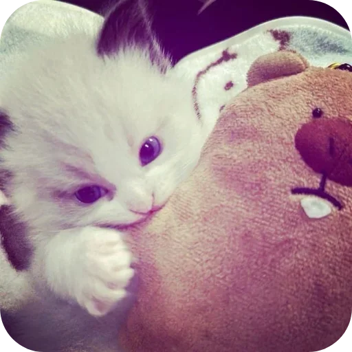 Больше стиков тут: @stikery4 - 