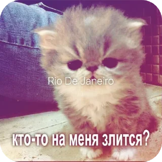 Sticker Больше стиков тут: @stikery4 - 0