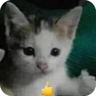 Sticker Больше стиков тут: @stikery4 - 1