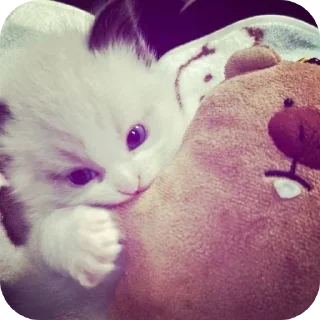 Sticker Больше стиков тут: @stikery4 - 8