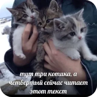 Sticker Больше стиков тут: @stikery4 - 7