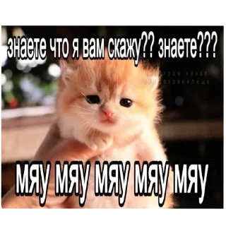 Sticker Больше стиков тут: @stikery4 - 6